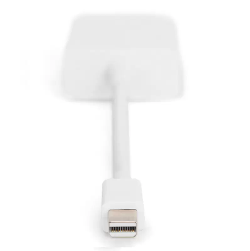 Adaptor Cablu mini DisplayPort -DVI-D 0.15m  ak-340406-001-W * 47539                                                                                                                                    