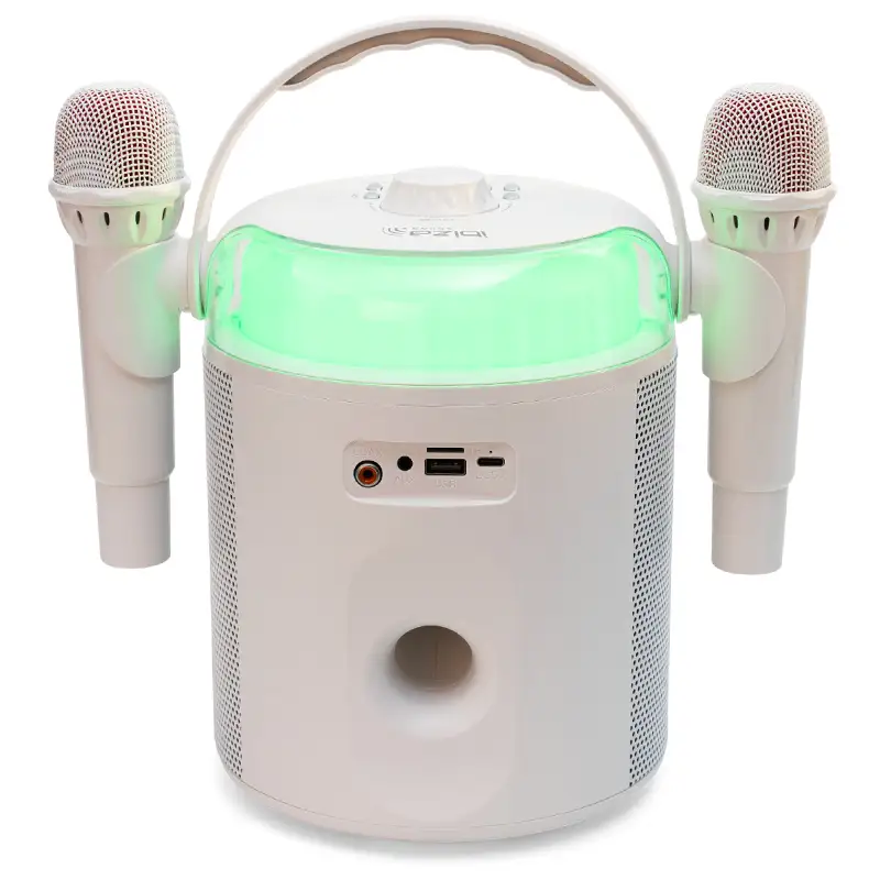 Boxa karaoke cu 2 microfoane wireless , BT/USB/MSD/AUX , KARAHOME-WH